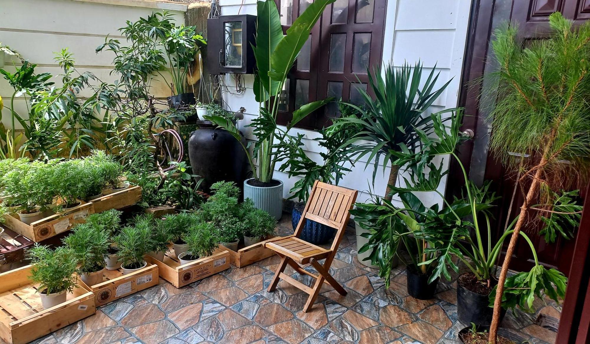 Wasabi House - Homestay Ben Cho Da Lat Eksteriør billede