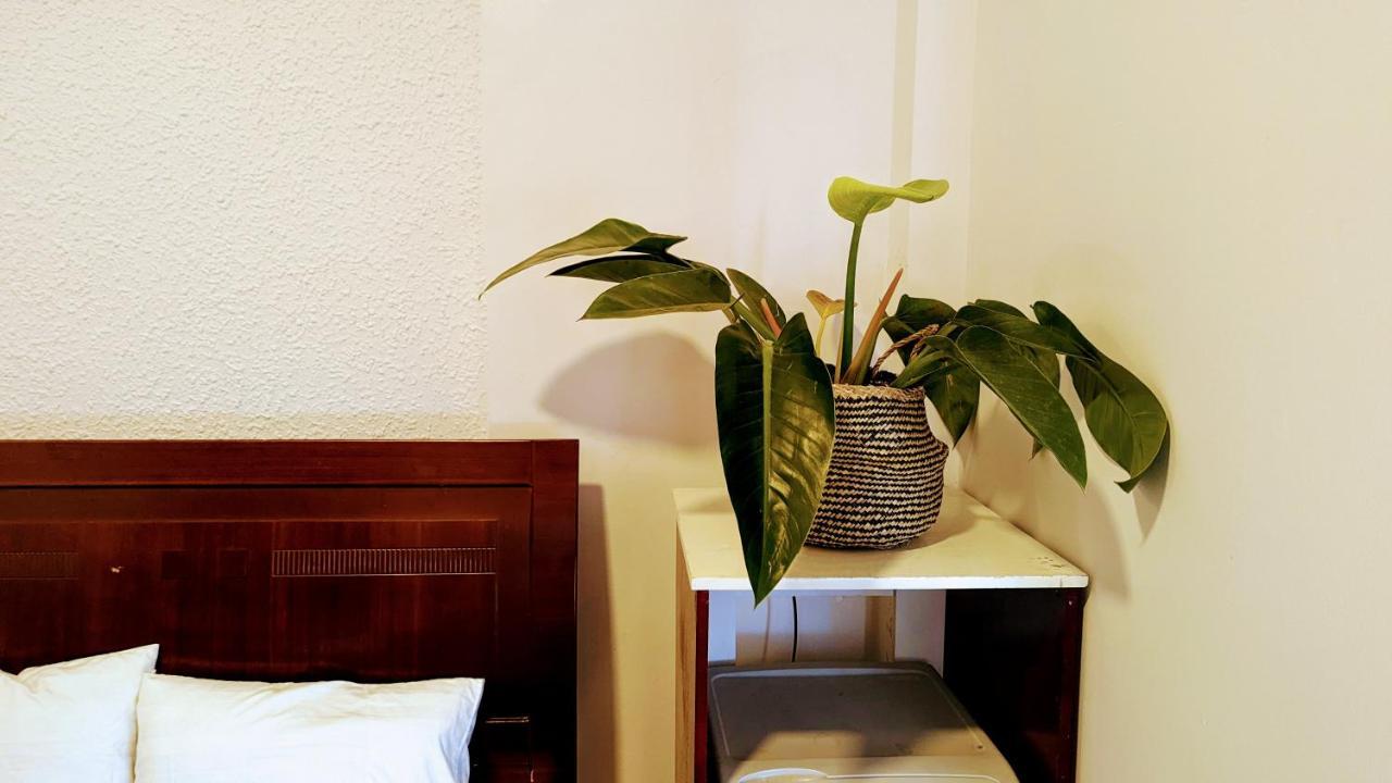 Wasabi House - Homestay Ben Cho Da Lat Eksteriør billede
