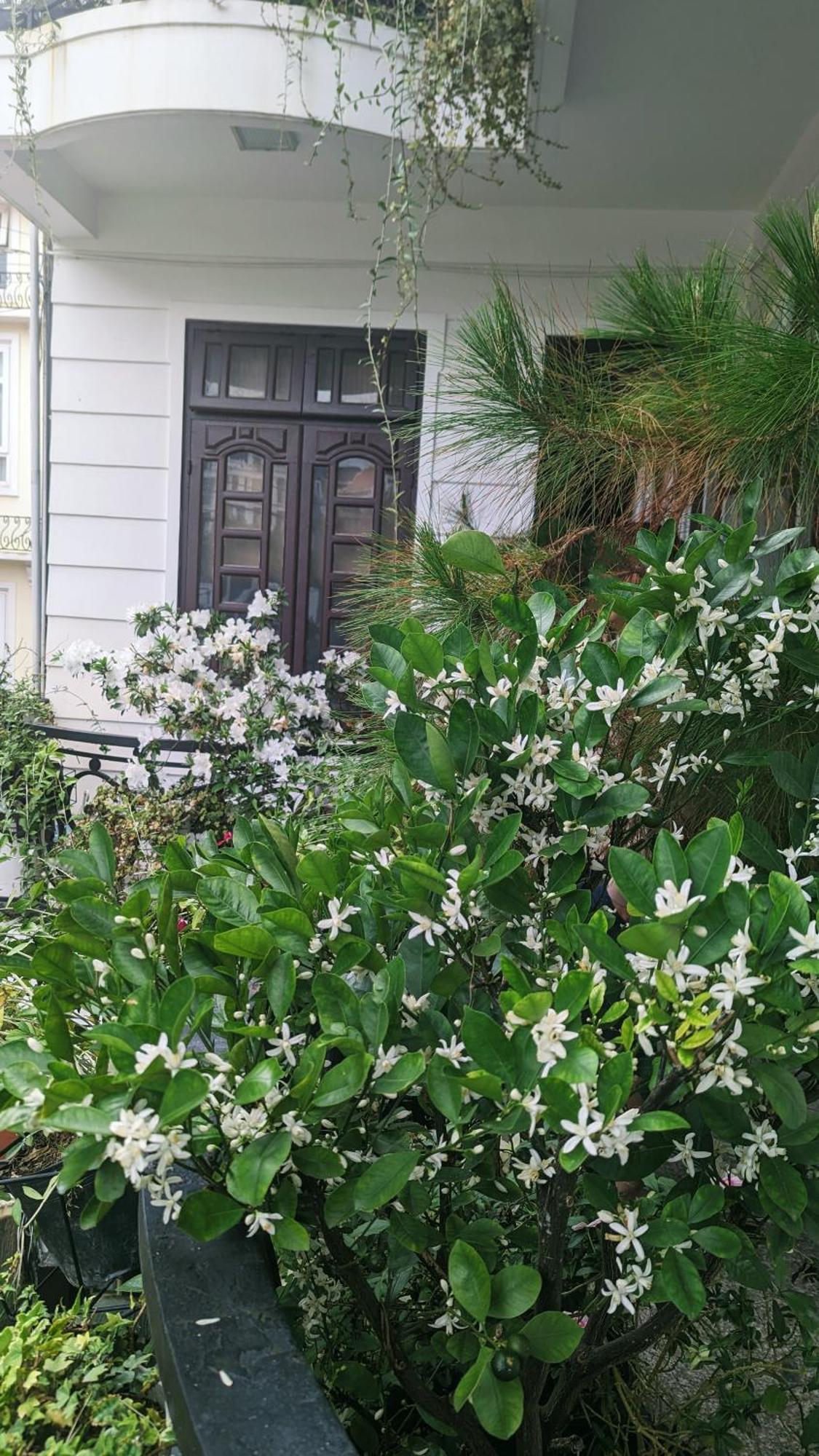 Wasabi House - Homestay Ben Cho Da Lat Eksteriør billede