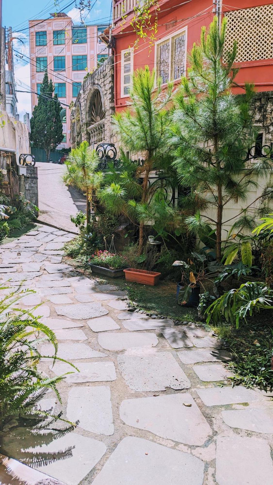 Wasabi House - Homestay Ben Cho Da Lat Eksteriør billede